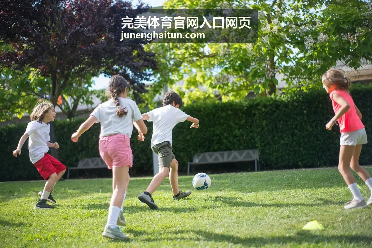 完美体育官网入口网页等级权益说明封面